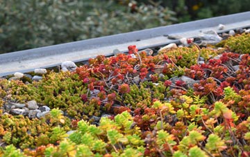 the cost of Ballifeary green roof installation